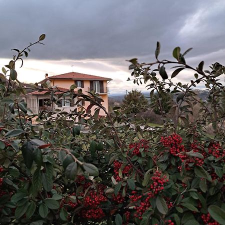 La Casa Di Mezzo-Affitti Brevi-Zona Ospedali Villa Busso Exteriör bild